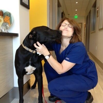 The vet getting a kiss from a giant black and white dog